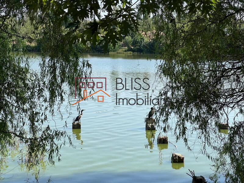 Apartment for Rent Aviatiei | Promenada mall | Metro Pipera, Bucharest - 2 Bedroom - ID:97761 | Bliss Imobiliare / Photo 15 - BLISS Imobiliare