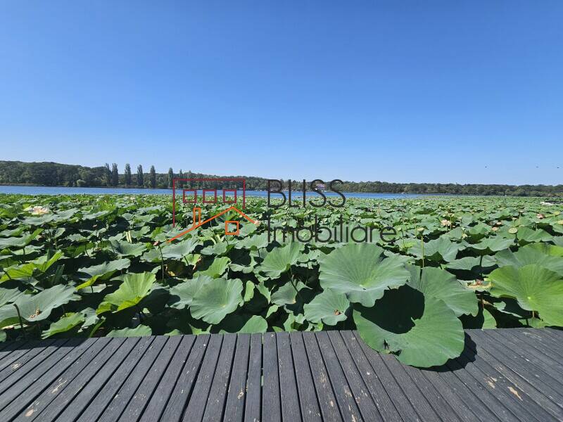Stunning 5-Bedroom Villa With Private Dock And Lake Access, Bucharest / Ilfov | Bliss Imobiliare / Photo 12 - BLISS Imobiliare
