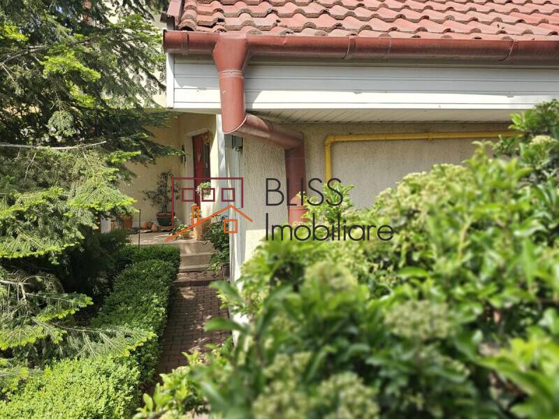 Casa 4 Camere Cu Gradina | Bliss Imobiliare / Photo 4 - BLISS Imobiliare