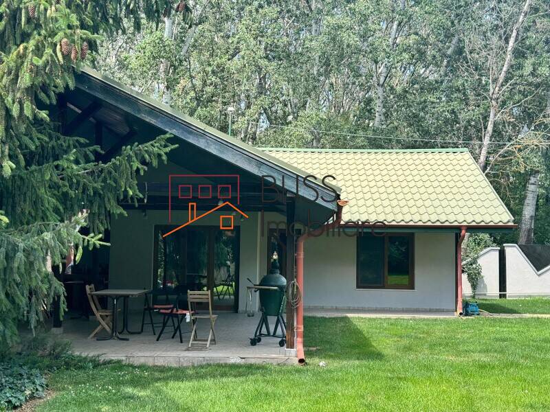 Villa for Sale Corbeanca, Bucharest / Ilfov - 4 Bedroom - ID:123190 | Bliss Imobiliare / Photo 11 - BLISS Imobiliare