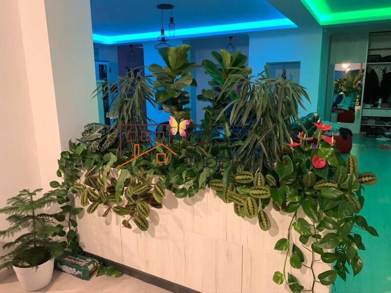 Vila de Vanzare Balotesti - 6 Camere - ID:91670 | Bliss Imobiliare / Photo 19 - BLISS Imobiliare