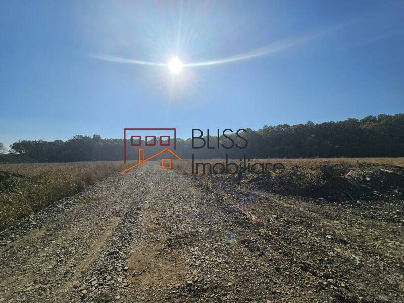 Photo 1 - BLISS Imobiliare