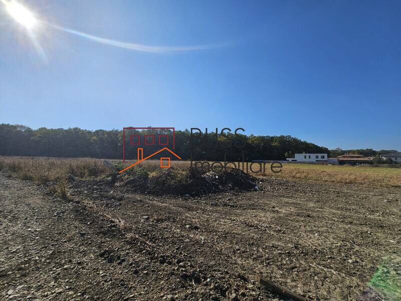 Photo 2 - BLISS Imobiliare