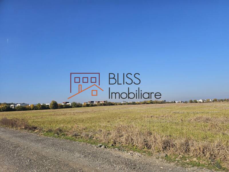 Photo 11 - BLISS Imobiliare