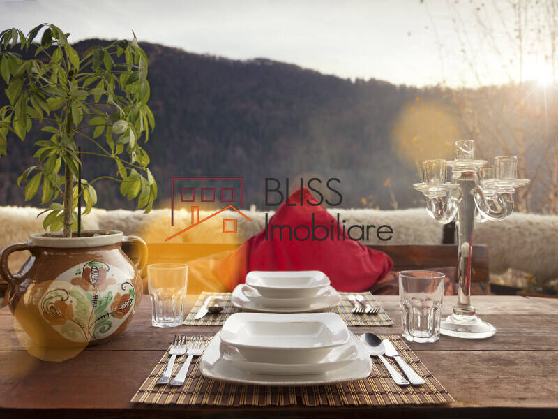 Villa for Sale Azuga, Judetul Prahova, Romania - 4 Bedroom - ID:124914 | Bliss Imobiliare / Photo 40 - BLISS Imobiliare