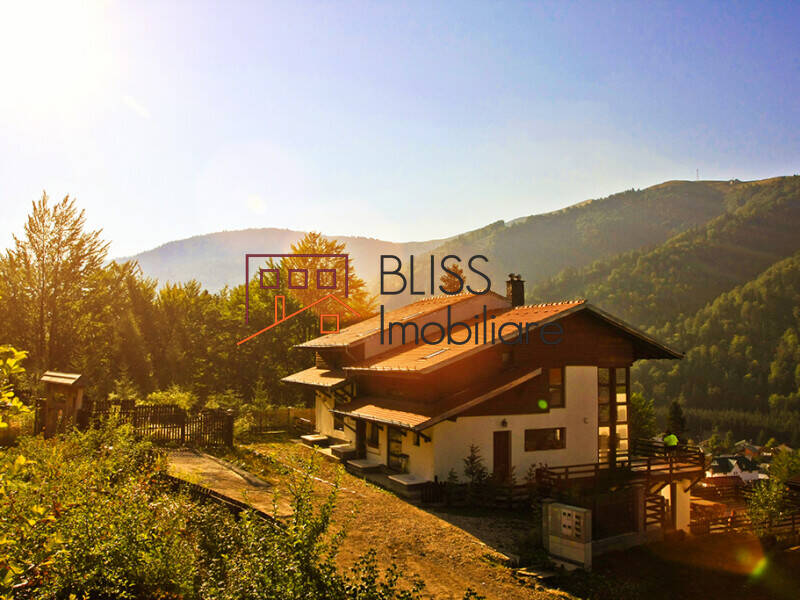 Villa for Sale Azuga, Judetul Prahova, Romania - 4 Bedroom - ID:124914 | Bliss Imobiliare / Photo 1 - BLISS Imobiliare