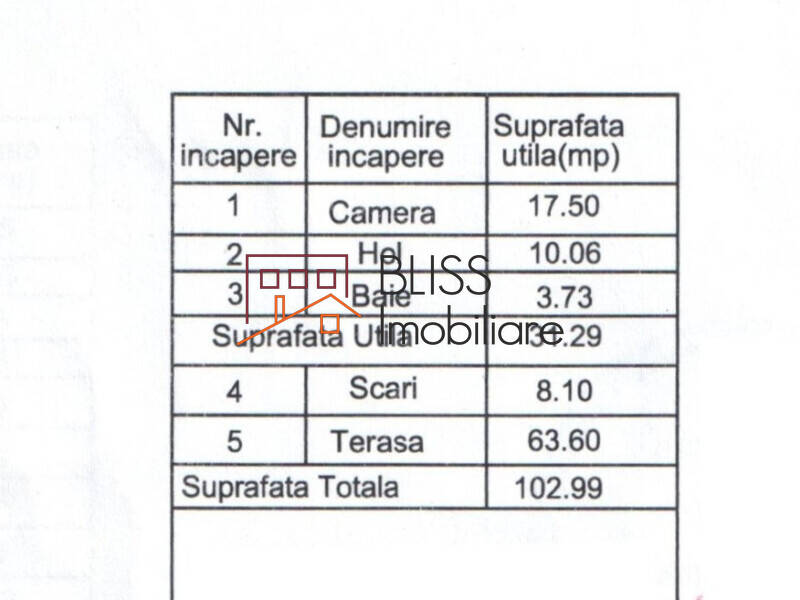 Vila Mediteraneeana 5 Camere | Bliss Imobiliare / Photo 39 - BLISS Imobiliare