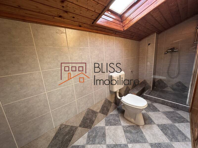 Spacious 6-Bedroom Villa With Private Pool, Bucharest / Ilfov | Bliss Imobiliare / Photo 25 - BLISS Imobiliare
