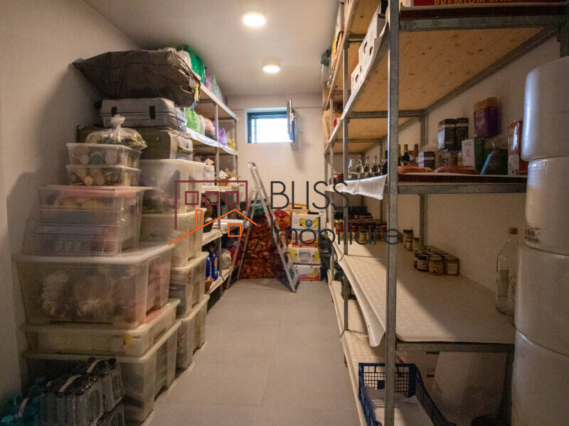 Luxury Smart Villa With Generous Land Plot In Iancu Nicolae, Bucharest / Ilfov | Bliss Imobiliare / Photo 80 - BLISS Imobiliare