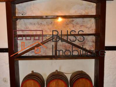 Villa for Rent KM 0 | Ultracentral, Bucharest - 5 Bedroom - ID:29430 | Bliss Imobiliare / Photo 42 - BLISS Imobiliare