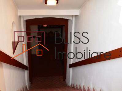 Villa for Rent KM 0 | Ultracentral, Bucharest - 5 Bedroom - ID:29430 | Bliss Imobiliare / Photo 45 - BLISS Imobiliare