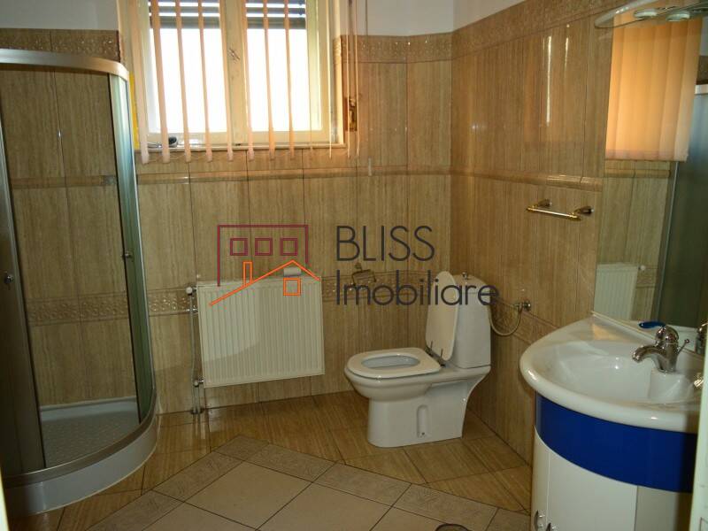 Vila de Inchiriat KM 0 | Ultracentral - 11 Camere - ID:29430 | Bliss Imobiliare / Photo 57 - BLISS Imobiliare