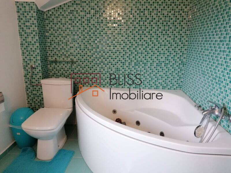 Vila Rustica 6 Camere – Tancabesti | Bliss Imobiliare / Photo 11 - BLISS Imobiliare