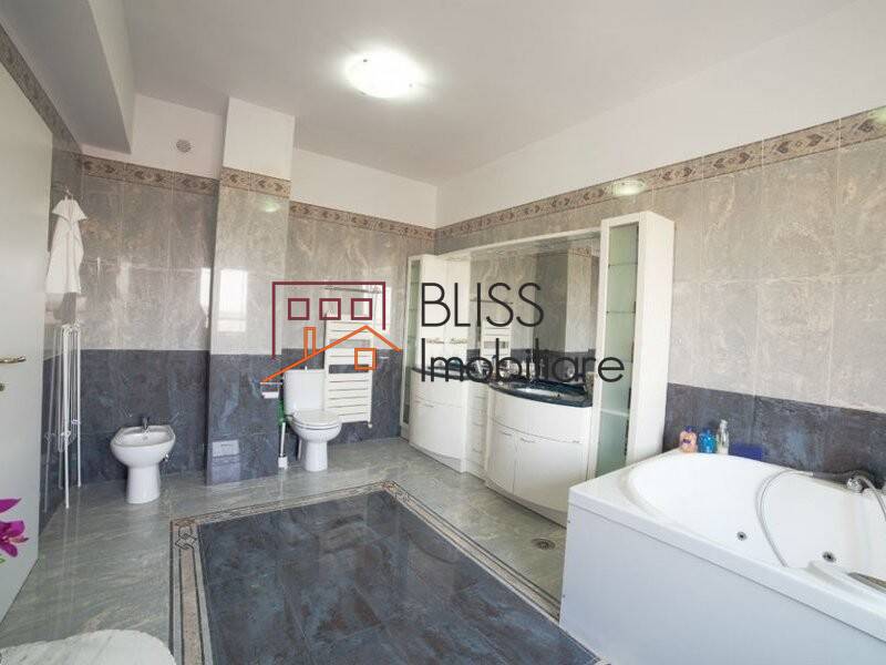 Apartment for Rent Dorobanti | Primaverii | Kiseleff | Aviatorilor, Bucharest - 1 Bedroom - ID:29619 | Bliss Imobiliare / Photo 5 - BLISS Imobiliare