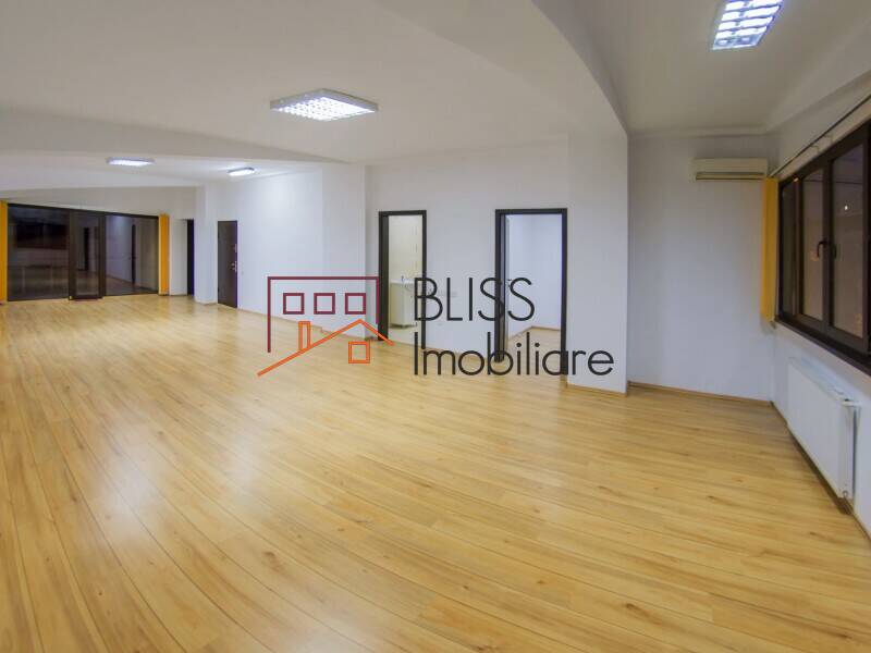 Office space for Rent Piata Victoriei, Bucharest - 12 Rooms - ID:29733 | Bliss Imobiliare / Photo 3 - BLISS Imobiliare