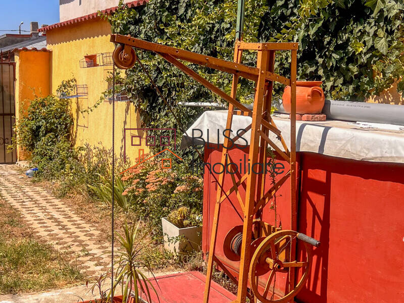 7-Room Villa For Rent In Pipera Nord, Bucharest / Ilfov | Bliss Imobiliare / Photo 41 - BLISS Imobiliare