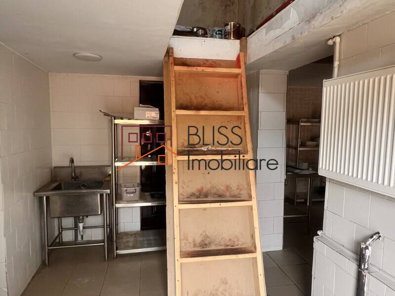 Cladire 11 Camere Pipera | Bliss Imobiliare / Photo 17 - BLISS Imobiliare