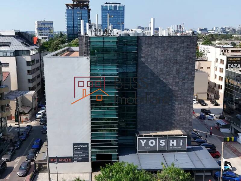 Office Space, Bucharest | Bliss Imobiliare / Photo 4 - BLISS Imobiliare