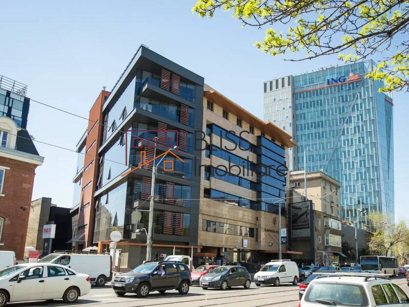 spațiu de birouri de Inchiriat Piata Victoriei - ID:142807 | Bliss Imobiliare / Photo 2 - BLISS Imobiliare