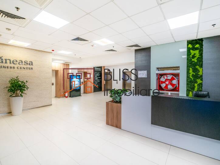 Office Space, Bucharest | Bliss Imobiliare / Photo 6 - BLISS Imobiliare