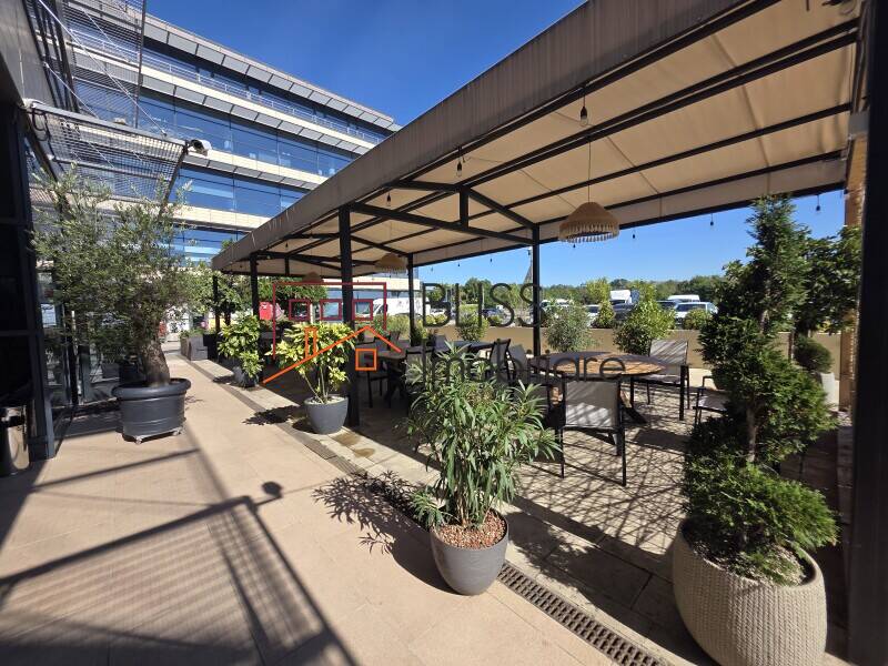 Photo 6 - BLISS Imobiliare