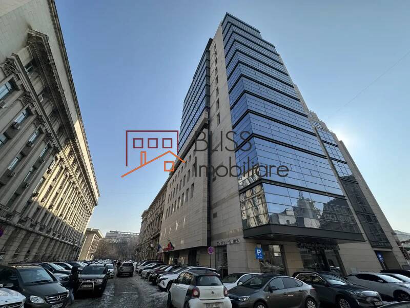 Private Office Space, Bucharest | Bliss Imobiliare / Photo 3 - BLISS Imobiliare