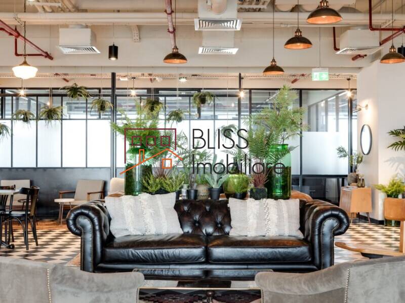 Office Space, Bucharest | Bliss Imobiliare / Photo 2 - BLISS Imobiliare