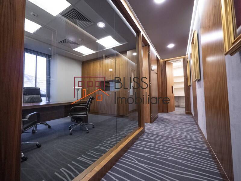 Office Space, Bucharest | Bliss Imobiliare / Photo 3 - BLISS Imobiliare