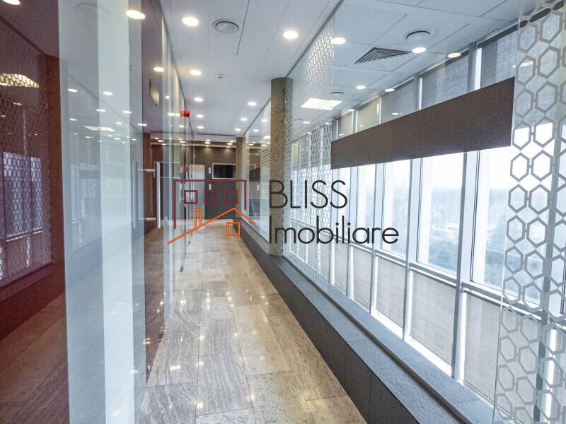 Office Space, Bucharest | Bliss Imobiliare / Photo 6 - BLISS Imobiliare