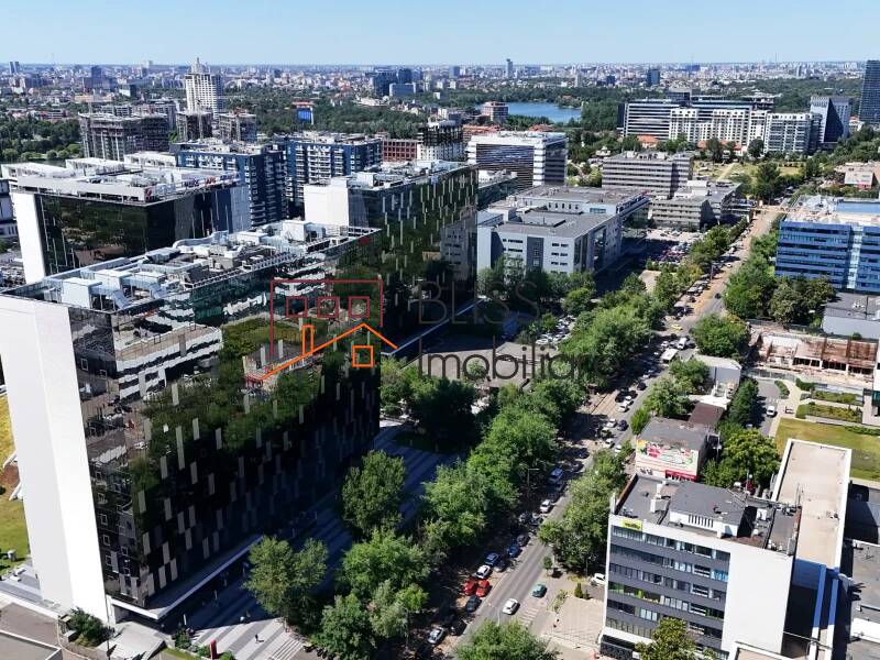 Commercial Space, Bucharest | Bliss Imobiliare / Photo 4 - BLISS Imobiliare