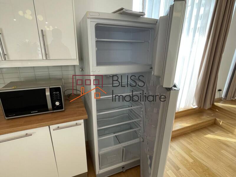 Spectacular 3-Bedroom Penthouse With 150 Sqm Terrace – Herastrau, Bucharest | Bliss Imobiliare / Photo 15 - BLISS Imobiliare