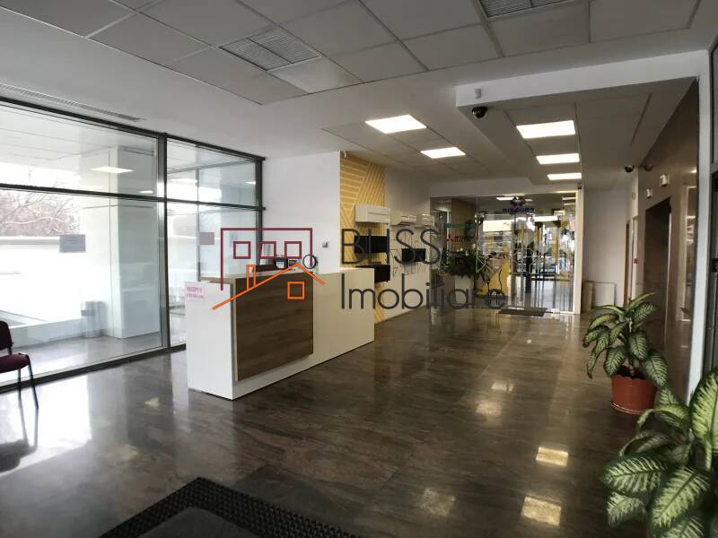 Office Space, Bucharest | Bliss Imobiliare / Photo 3 - BLISS Imobiliare