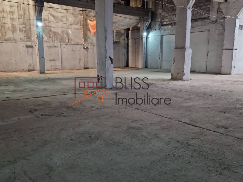 Warehouse/Industrial, Bucharest / Ilfov | Bliss Imobiliare / Photo 4 - BLISS Imobiliare