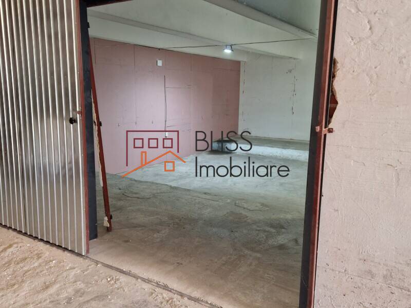 Spatiu Industrial / Logistica | Bliss Imobiliare / Photo 7 - BLISS Imobiliare