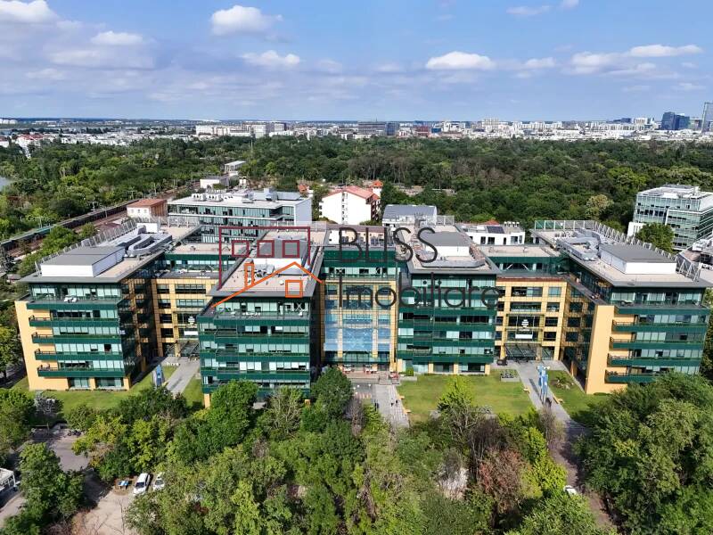 Office Space, Bucharest | Bliss Imobiliare / Photo 4 - BLISS Imobiliare