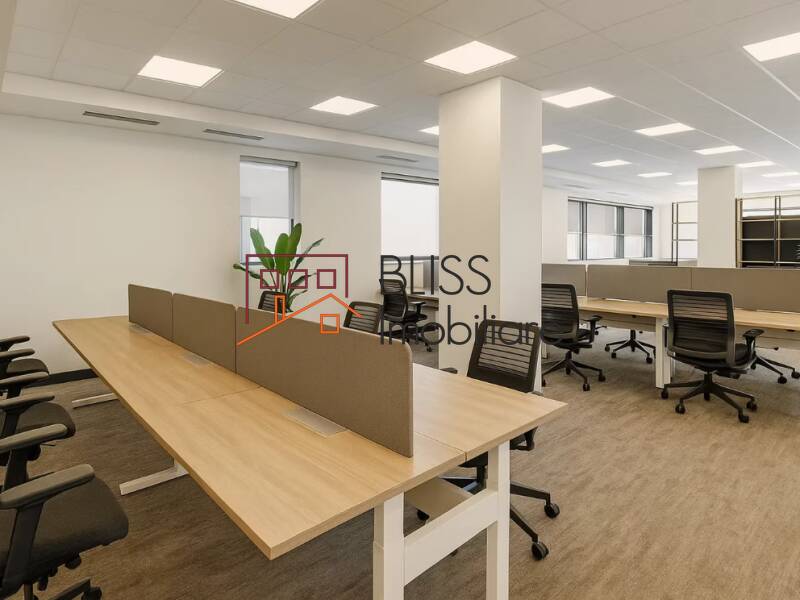 Office Space, Bucharest | Bliss Imobiliare / Photo 12 - BLISS Imobiliare