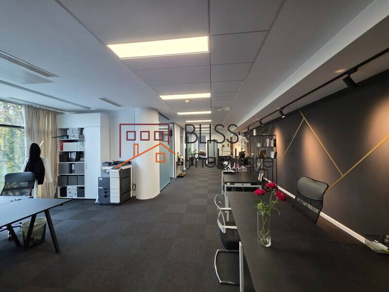 Office Space, Bucharest | Bliss Imobiliare / Photo 8 - BLISS Imobiliare
