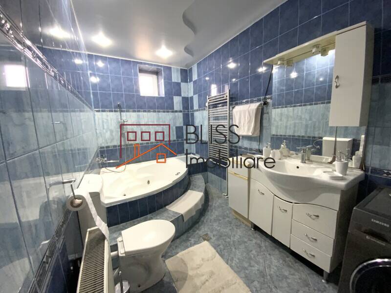 Spacious 2-Bedroom House, 230sqm And 460sqm Yard - Apoldu De Jos, Judetul Sibiu, Romania | Bliss Imobiliare / Photo 14 - BLISS Imobiliare