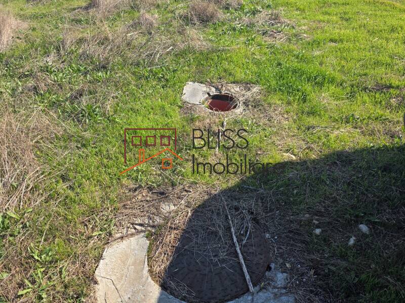 Photo 19 - BLISS Imobiliare