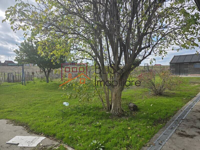 Photo 9 - BLISS Imobiliare