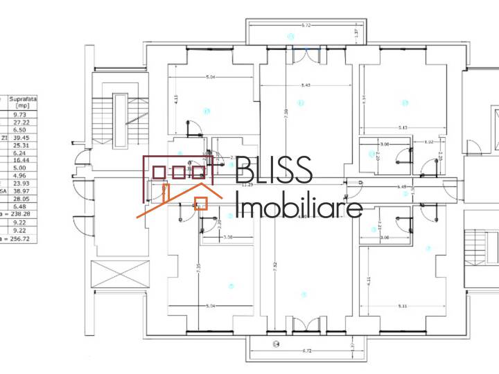 Apartament 4 Camere In Kiseleff  | 238 Mp | Bloc Boutique | Bliss Imobiliare / Photo 20 - BLISS Imobiliare