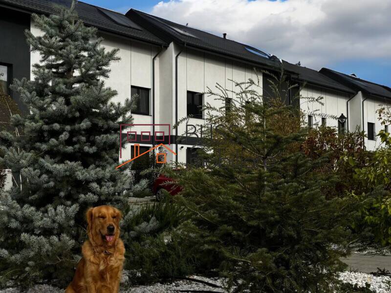 Photo 5 - BLISS Imobiliare