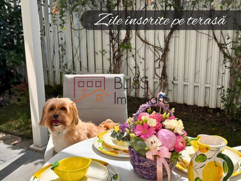 Photo 19 - BLISS Imobiliare