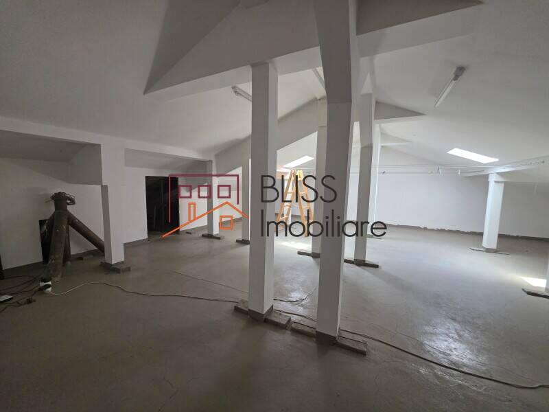 Vila de Vanzare Iancu Nicolae | Pipera - 12 Camere - ID:145506 | Bliss Imobiliare / Photo 18 - BLISS Imobiliare
