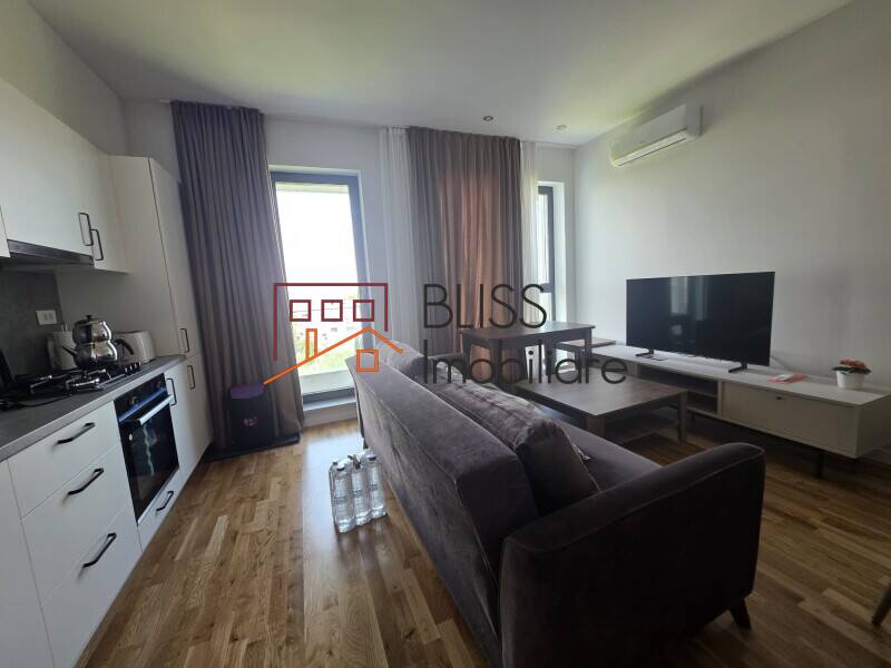 Furnished 1-Bedroom Apartment With Modern Comfort, Bucharest | Bliss Imobiliare / Photo 1 - BLISS Imobiliare
