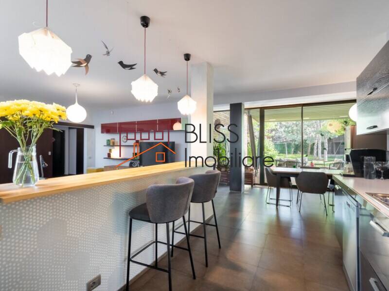5-Bedroom Property With Four Independent Units, Bucharest / Ilfov | Bliss Imobiliare / Photo 13 - BLISS Imobiliare