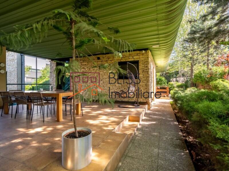 Proprietate Cu 4 Unitati Independente | Bliss Imobiliare / Photo 22 - BLISS Imobiliare