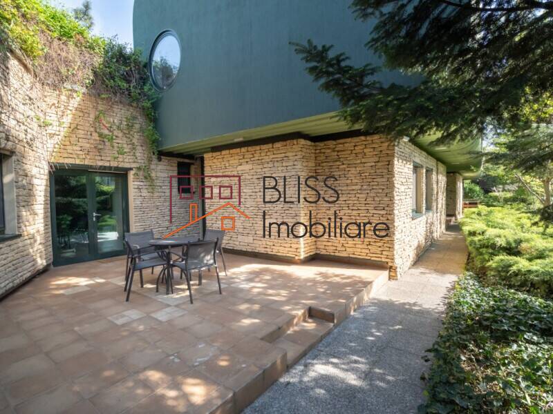 Proprietate Cu 4 Unitati Independente | Bliss Imobiliare / Photo 46 - BLISS Imobiliare