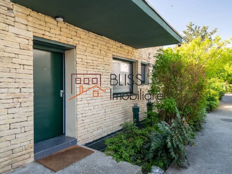 5-Bedroom Property With Four Independent Units, Bucharest / Ilfov | Bliss Imobiliare / Photo 49 - BLISS Imobiliare