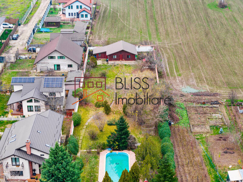 Vila 7 Camere Cu Piscina Si Teren Generos | Bliss Imobiliare / Photo 6 - BLISS Imobiliare